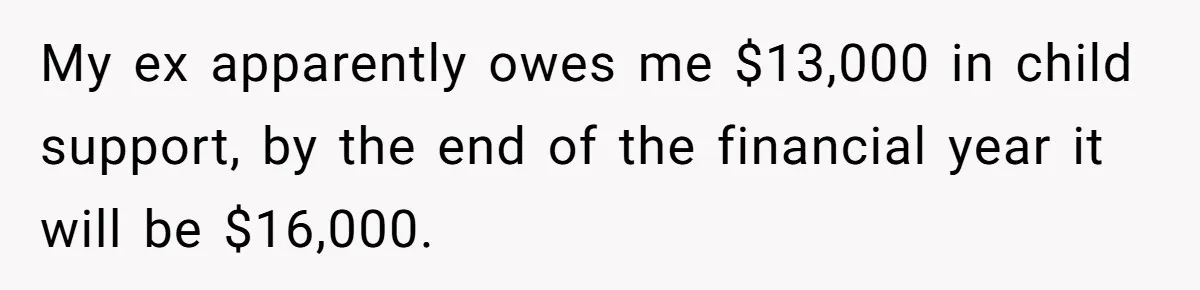 My ex apparently owes me $13,000 in child support, by the end of the financial year it will be $16,000.