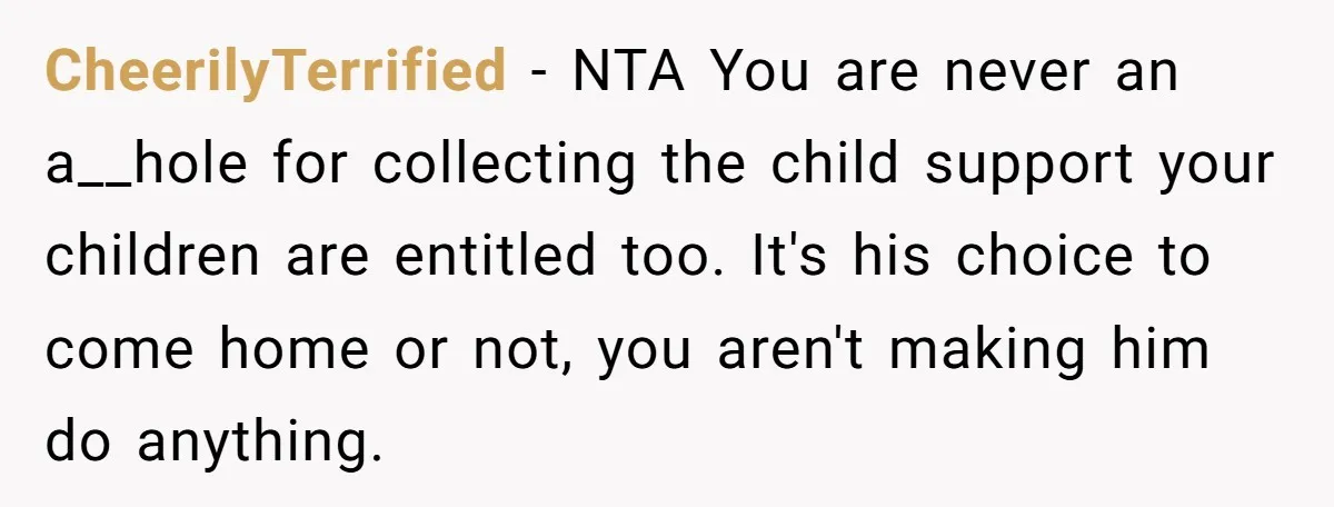 CheerilyTerrified − NTA You are never an a__hole for collecting the child support your children are entitled too. It's his choice to come home or not, you aren't making him...