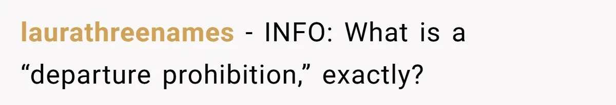 laurathreenames − INFO: What is a “departure prohibition,” exactly?