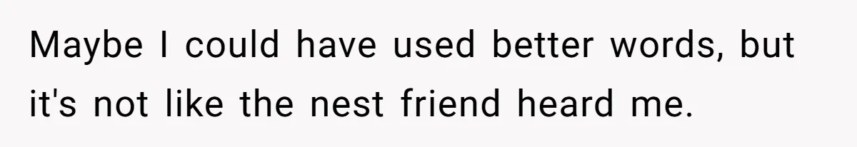 Maybe I could have used better words, but it's not like the nest friend heard me.