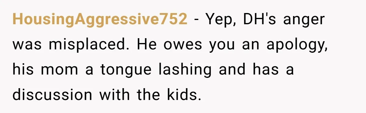 HousingAggressive752 − Yep, DH's anger was misplaced. He owes you an apology, his mom a tongue lashing and has a discussion with the kids.