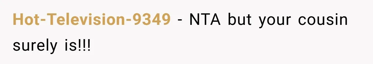 Hot-Television-9349 − NTA but your cousin surely is!!!