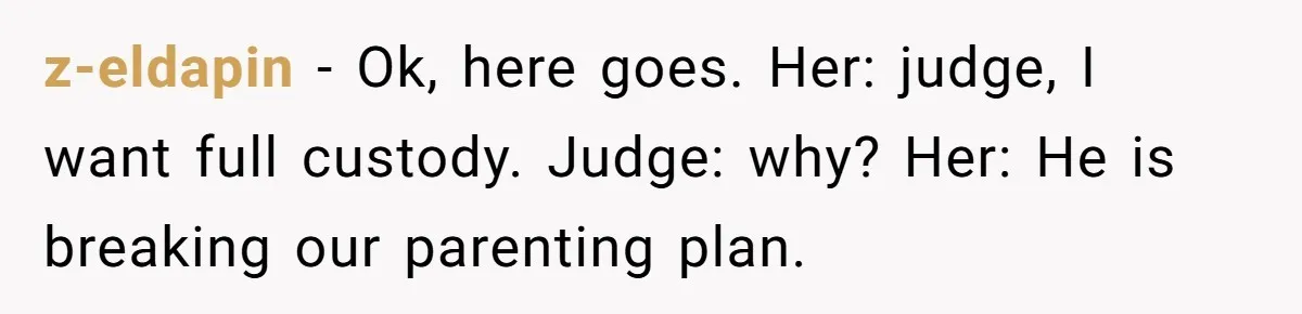 He Finally Asked to Host Christmas, and His Ex Declared War z-eldapin − Ok, here goes. Her: judge, I want full custody. Judge: why? Her: He is breaking our parenting plan.
