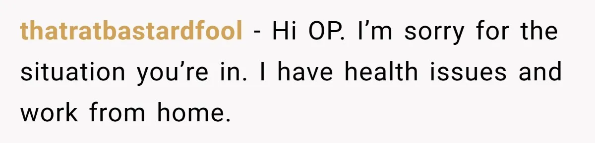 thatratbastardfool − Hi OP. I’m sorry for the situation you’re in. I have health issues and work from home.
