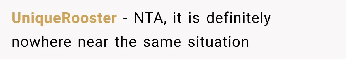 Retired Mom Refuses To Be Full-Time Daycare For Grandson, Adult Son Accuses Her Of Playing Favorites UniqueRooster − NTA, it is definitely nowhere near the same situation