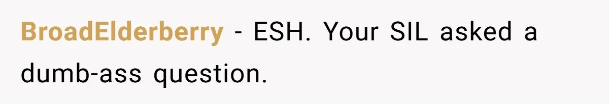 BroadElderberry − ESH. Your SIL asked a dumb-ass question.