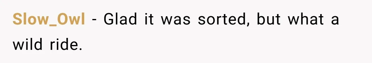 Slow_Owl − Glad it was sorted, but what a wild ride.