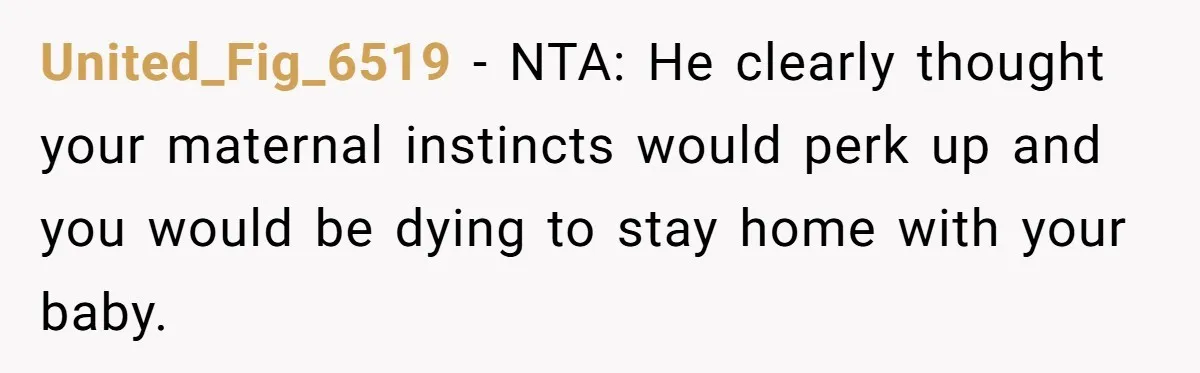 United_Fig_6519 − NTA: He clearly thought your maternal instincts would perk up and you would be dying to stay home with your baby.