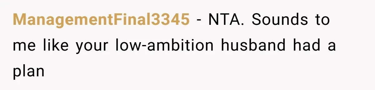 ManagementFinal3345 − NTA. Sounds to me like your low-ambition husband had a plan
