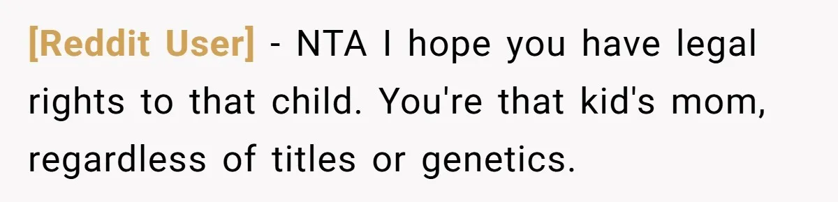 [Reddit User] − NTA I hope you have legal rights to that child. You're that kid's mom, regardless of titles or genetics.