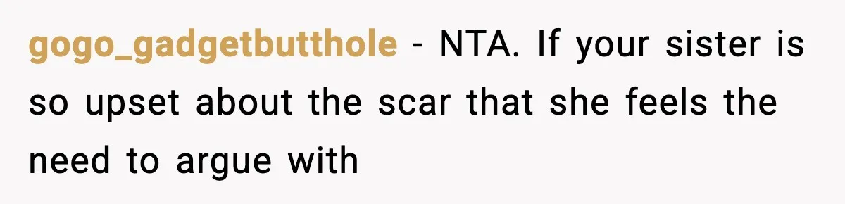 gogo_gadgetbutthole − NTA. If your sister is so upset about the scar that she feels the need to argue with