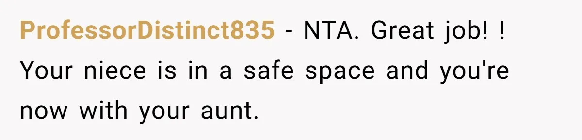 She Called CPS on Her 16-Year-Old Sister, and Now She’s the Villain at Home ProfessorDistinct835 − NTA. Great job! ! Your niece is in a safe space and you're now with your aunt.