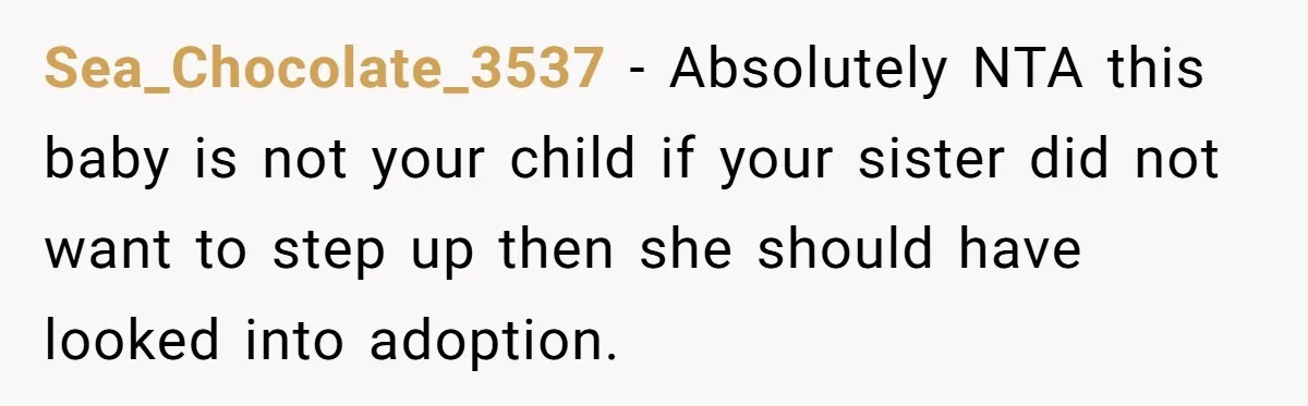 She Called CPS on Her 16-Year-Old Sister, and Now She’s the Villain at Home Sea_Chocolate_3537 − Absolutely NTA this baby is not your child if your sister did not want to step up then she should have looked into adoption.