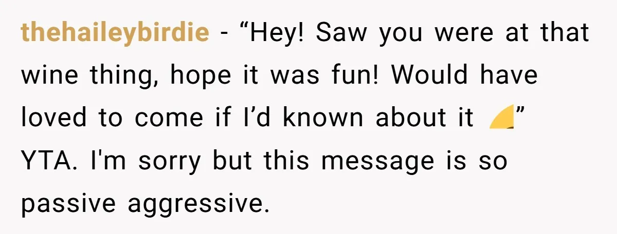 thehaileybirdie − “Hey! Saw you were at that wine thing, hope it was fun! Would have loved to come if I’d known about it 😊” YTA. I'm sorry but this...