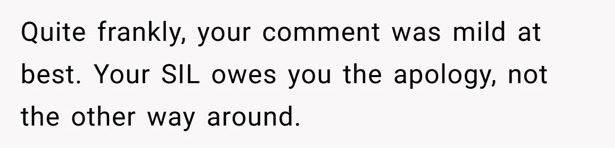 Quite frankly, your comment was mild at best. Your SIL owes you the apology, not the other way around.