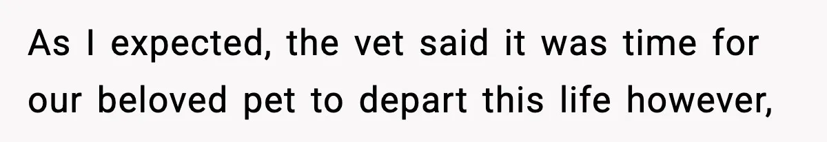 As I expected, the vet said it was time for our beloved pet to depart this life however,