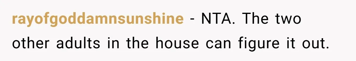 rayofgoddamnsunshine − NTA. The two other adults in the house can figure it out.