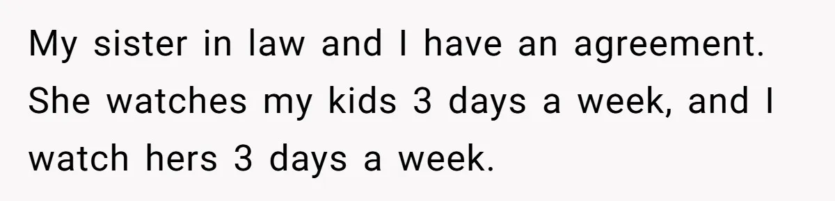 Woman Refuses To Watch Sister-In-Law's Kids Ever Again After She Calls The Cops Over Late Pickup My sister in law and I have an agreement. She watches my kids 3 days a week, and I watch hers 3 days a week.