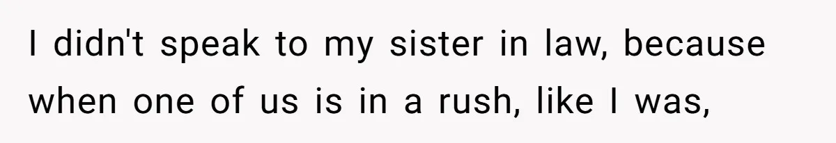 Woman Refuses To Watch Sister-In-Law's Kids Ever Again After She Calls The Cops Over Late Pickup I didn't speak to my sister in law, because when one of us is in a rush, like I was,