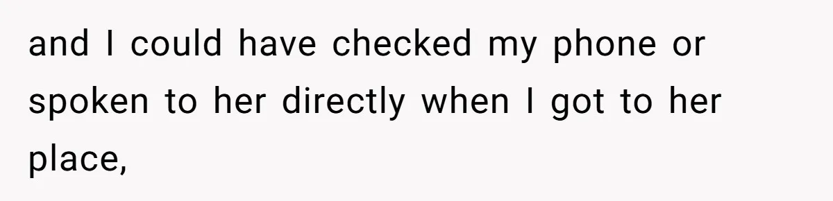 Woman Refuses To Watch Sister-In-Law's Kids Ever Again After She Calls The Cops Over Late Pickup and I could have checked my phone or spoken to her directly when I got to her place,