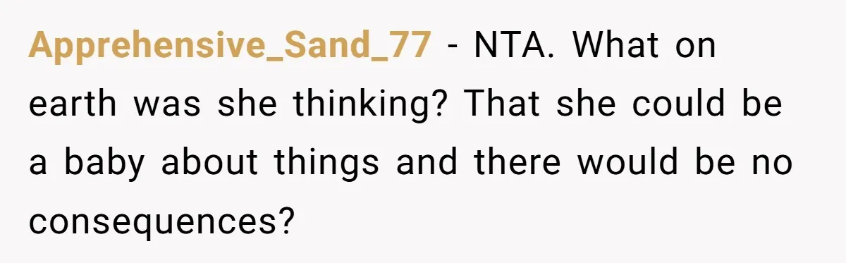 Woman Refuses To Watch Sister-In-Law's Kids Ever Again After She Calls The Cops Over Late Pickup Apprehensive_Sand_77 − NTA. What on earth was she thinking? That she could be a baby about things and there would be no consequences?