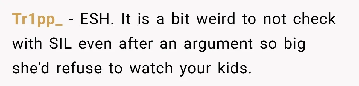 Woman Refuses To Watch Sister-In-Law's Kids Ever Again After She Calls The Cops Over Late Pickup Tr1pp_ − ESH. It is a bit weird to not check with SIL even after an argument so big she'd refuse to watch your kids.