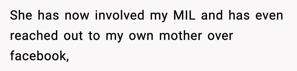 She has now involved my MIL and has even reached out to my own mother over facebook,