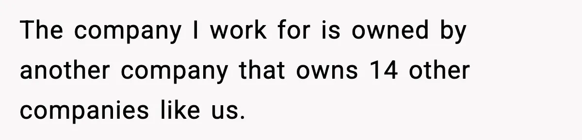 The company I work for is owned by another company that owns 14 other companies like us.