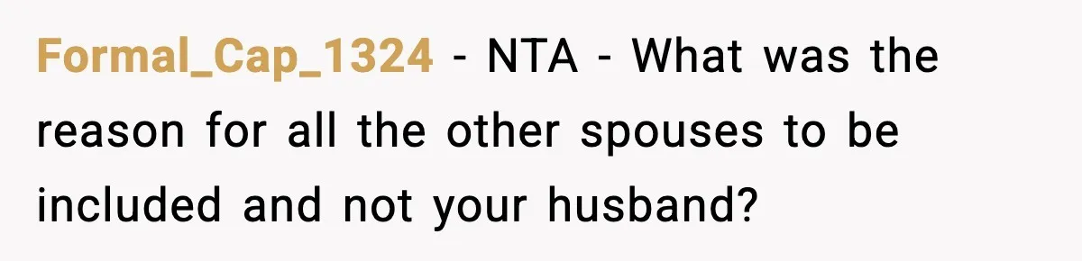 Man Leaves Sister’s Wedding Early After She Excludes His Husband From Family Photos Formal_Cap_1324 − NTA - What was the reason for all the other spouses to be included and not your husband?