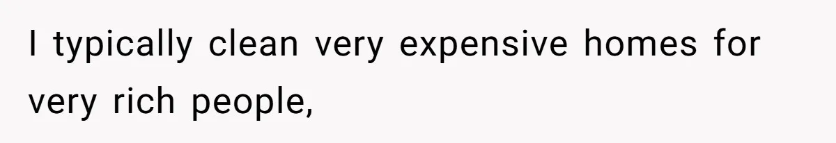 Boyfriend Said He Accepted Her Career, Then Broke Up The Moment He Saw It For Himself I typically clean very expensive homes for very rich people,