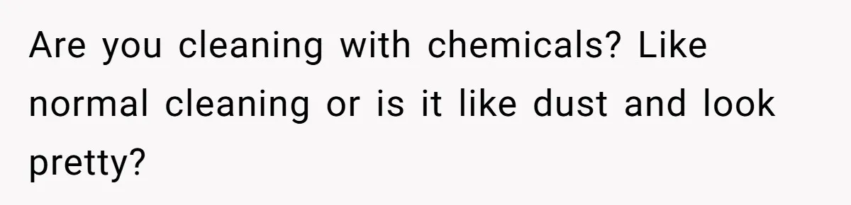 Boyfriend Said He Accepted Her Career, Then Broke Up The Moment He Saw It For Himself Are you cleaning with chemicals? Like normal cleaning or is it like dust and look pretty?