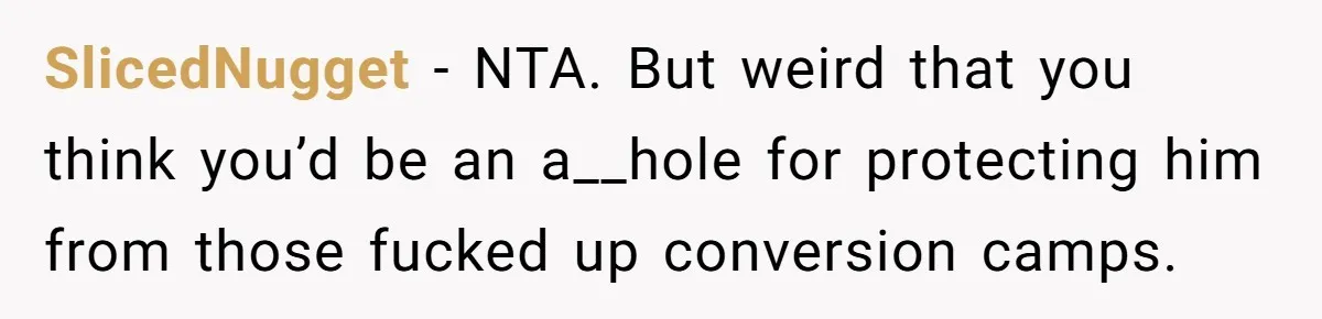 Man Shelters Runaway Cousin From “Cure” Camp, Refuses To Tell Family Right Away SlicedNugget − NTA. But weird that you think you’d be an a__hole for protecting him from those fucked up conversion camps.