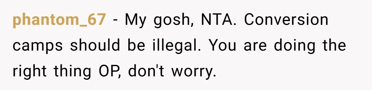 Man Shelters Runaway Cousin From “Cure” Camp, Refuses To Tell Family Right Away phantom_67 − My gosh, NTA. Conversion camps should be illegal. You are doing the right thing OP, don't worry.