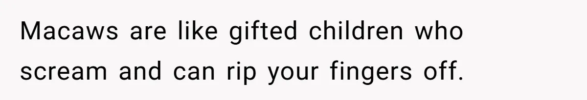 Stepmom Says No To Stepdaughter’s Wedding Prep Because Of Her Rescue Parrot Macaws are like gifted children who scream and can rip your fingers off.