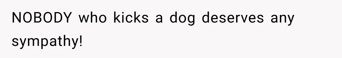 NOBODY who kicks a dog deserves any sympathy!