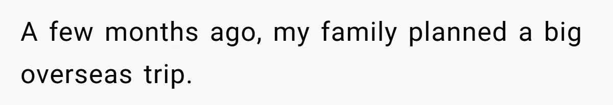 A few months ago, my family planned a big overseas trip.