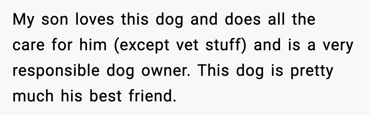 He Defends Son’s Dog After Wife Demands Rehoming Over Pregnancy Anxiety My son loves this dog and does all the care for him (except vet stuff) and is a very responsible dog owner. This dog is pretty much his best friend.