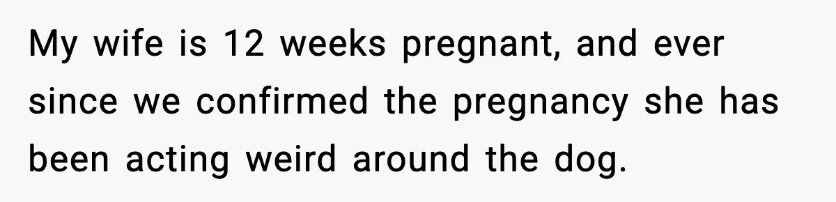 He Defends Son’s Dog After Wife Demands Rehoming Over Pregnancy Anxiety My wife is 12 weeks pregnant, and ever since we confirmed the pregnancy she has been acting weird around the dog.