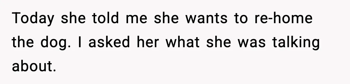 He Defends Son’s Dog After Wife Demands Rehoming Over Pregnancy Anxiety Today she told me she wants to re-home the dog. I asked her what she was talking about.