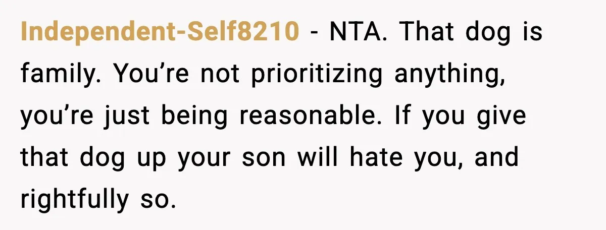 He Defends Son’s Dog After Wife Demands Rehoming Over Pregnancy Anxiety Independent-Self8210 - NTA. That dog is family. You’re not prioritizing anything, you’re just being reasonable. If you give that dog up your son will hate you, and rightfully so.