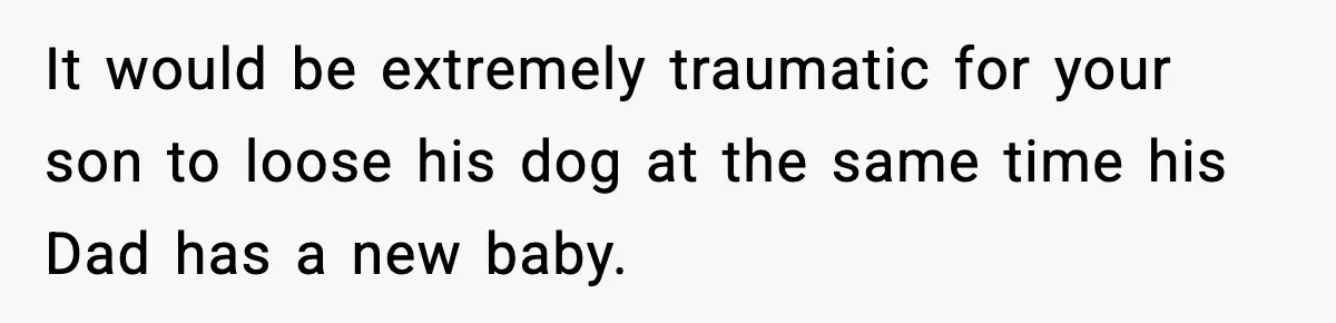 He Defends Son’s Dog After Wife Demands Rehoming Over Pregnancy Anxiety It would be extremely traumatic for your son to loose his dog at the same time his Dad has a new baby.
