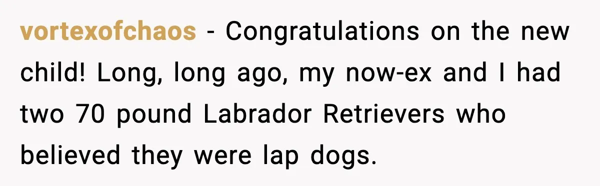 He Defends Son’s Dog After Wife Demands Rehoming Over Pregnancy Anxiety vortexofchaos - Congratulations on the new child! Long, long ago, my now-ex and I had two 70 pound Labrador Retrievers who believed they were lap dogs.