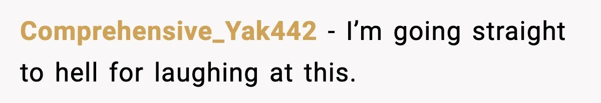 Comprehensive_Yak442 - I’m going straight to hell for laughing at this.