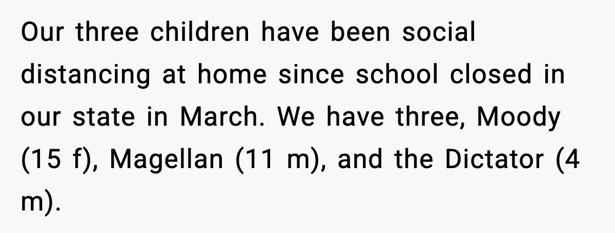 Our three children have been social distancing at home since school closed in our state in March. We have three, Moody (15 f), Magellan (11 m), and the Dictator (4...