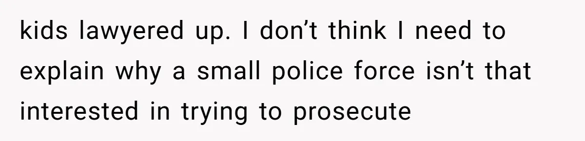 Sibling Bonds Are Tested When a Step-Nephew Needs Help After an Appalling Incident kids lawyered up. I don’t think I need to explain why a small police force isn’t that interested in trying to prosecute
