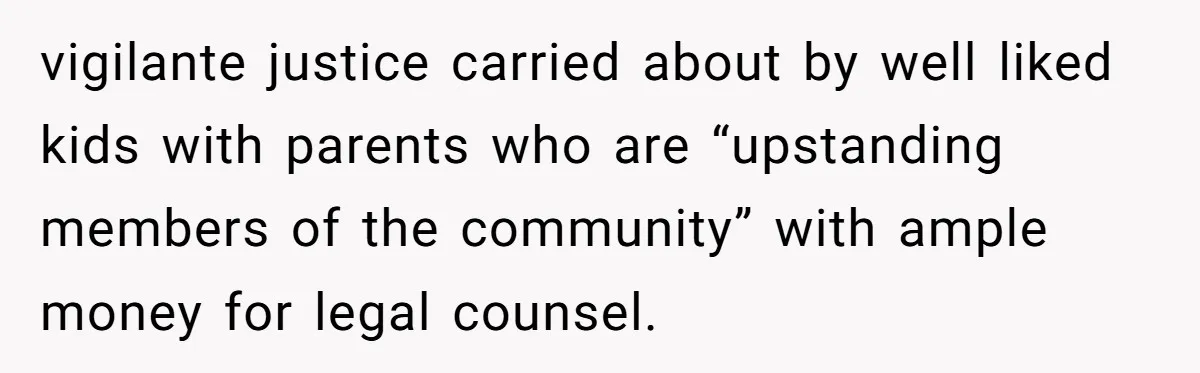 Sibling Bonds Are Tested When a Step-Nephew Needs Help After an Appalling Incident vigilante justice carried about by well liked kids with parents who are “upstanding members of the community” with ample money for legal counsel.