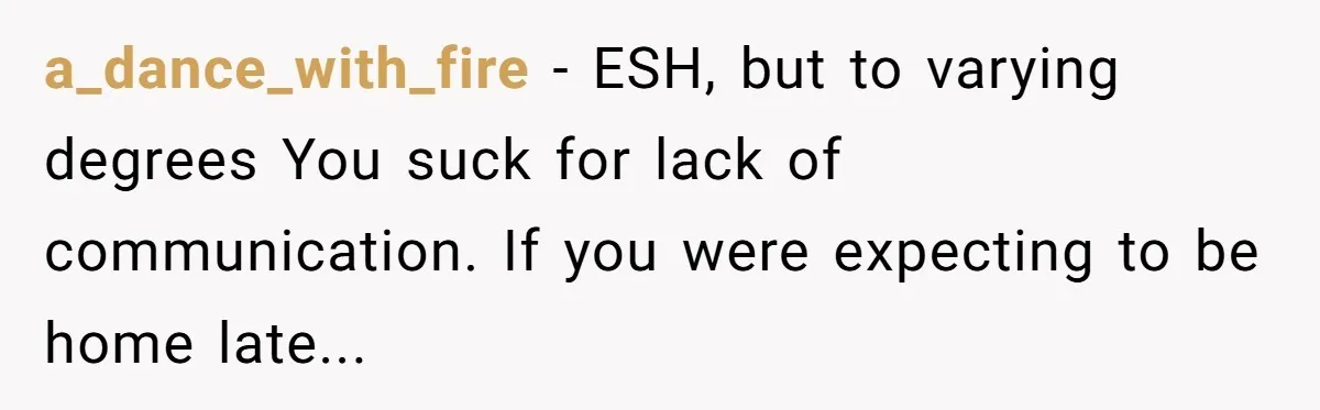 a_dance_with_fire − ESH, but to varying degrees You suck for lack of communication. If you were expecting to be home late...
