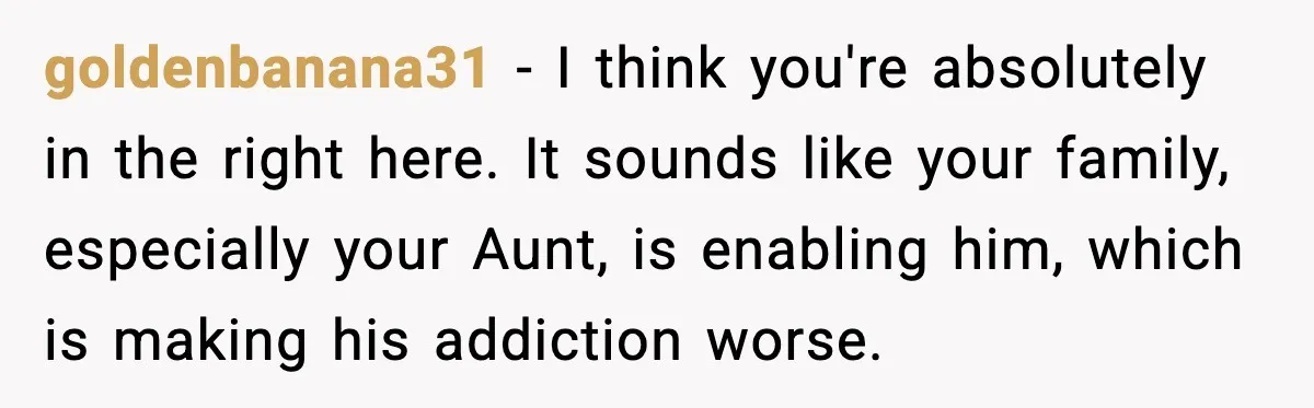 goldenbanana31 - I think you're absolutely in the right here. It sounds like your family, especially your Aunt, is enabling him, which is making his addiction worse.