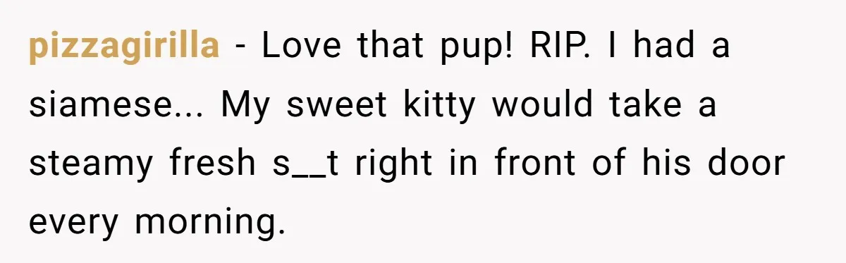 pizzagirilla − Love that pup! RIP. I had a siamese... My sweet kitty would take a steamy fresh s__t right in front of his door every morning.