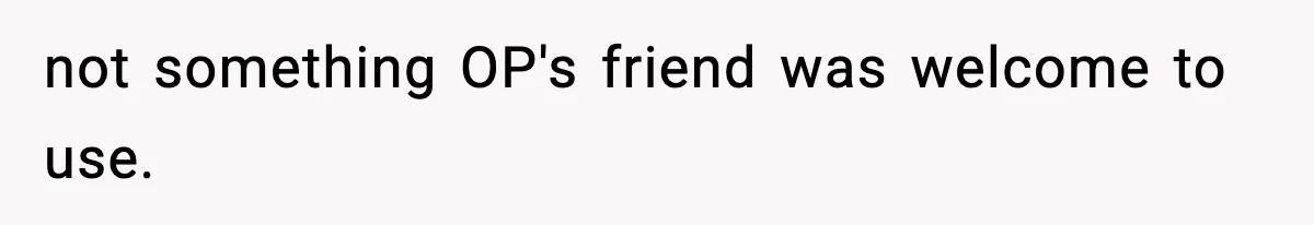 not something OP's friend was welcome to use.